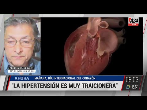 DÍA INTERNACIONAL DEL CORAZÓN: BUENOS HÁBITOS