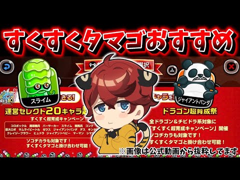 【城ドラ】来るぞ”すくすくタマゴキャンペーン”が…!!!【城とドラゴン|タイガ】