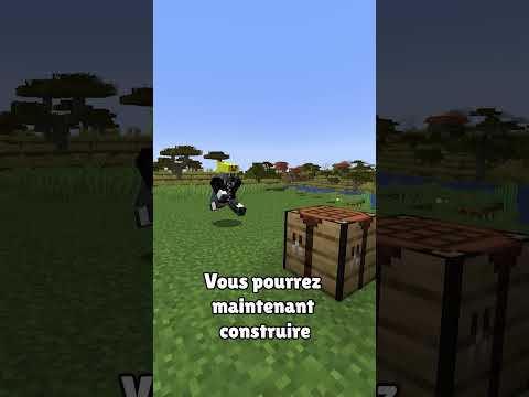 marre des émeraudes ?