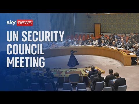 UN Security Council meeting discussing situation in Gaza | Tuesday, 23 January 2024
