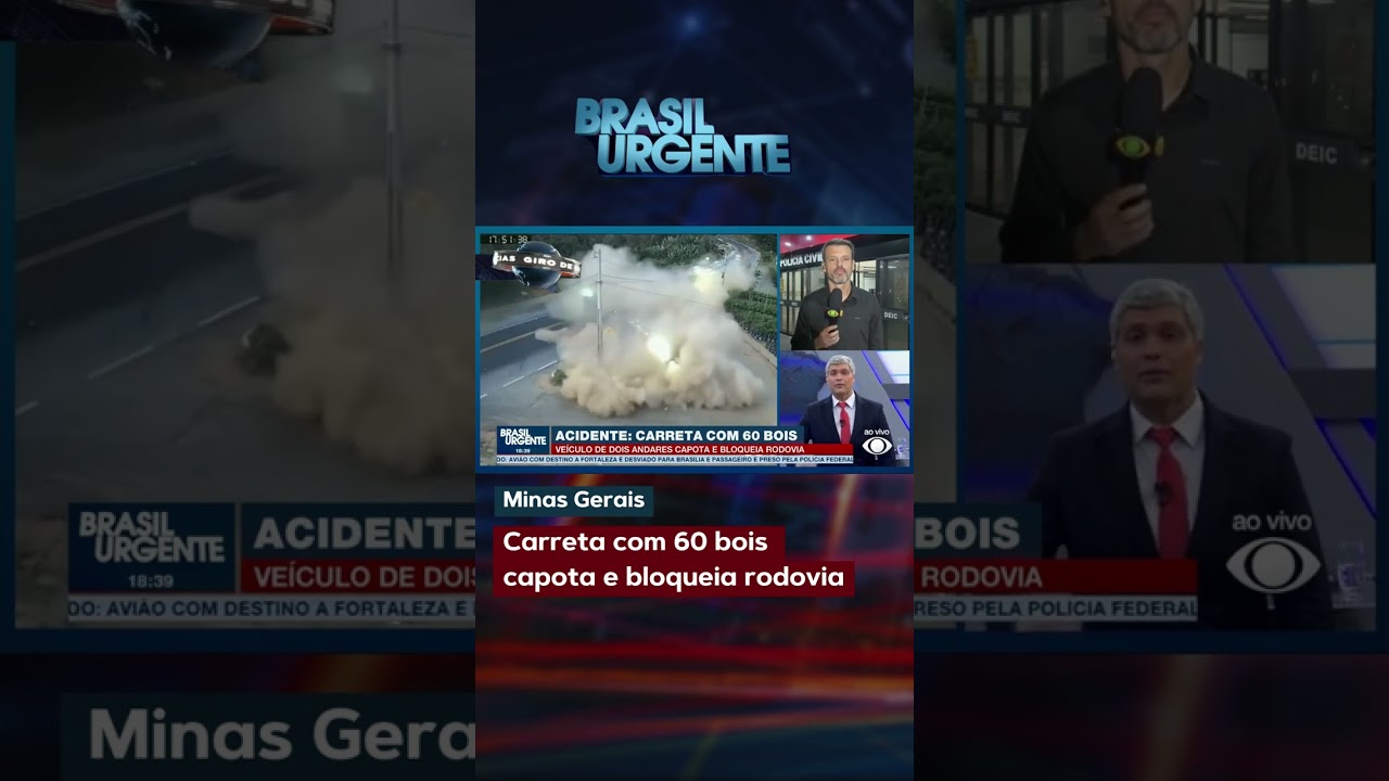 Carreta com 60 bois capota na BR 116 em Teófilo Otoni e bloqueia a rodovia