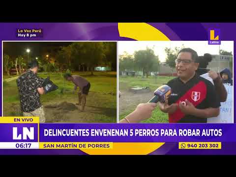 Ladrones de autopartes envenenaron a 5 perros en San Martín de Porres