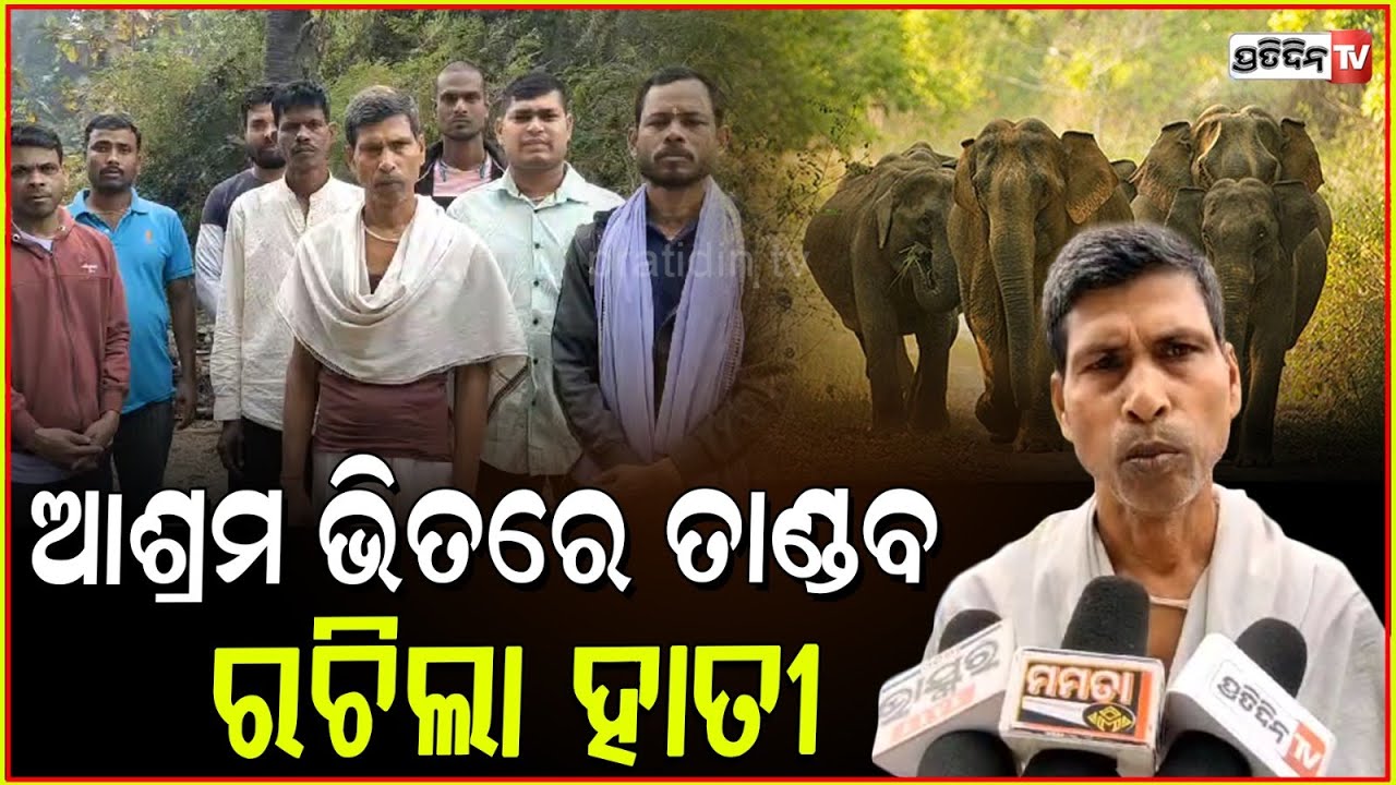 ଭାଗବତ ଆଶ୍ରମକୁ ଭାଙ୍ଗି ଦେଲେ ବଣୁଆ ହାତୀପଲ ,ଦୌଡ଼ି ପଳାଇଲେ ଆଶ୍ରମବାସୀ l Elephant terror in Angul .