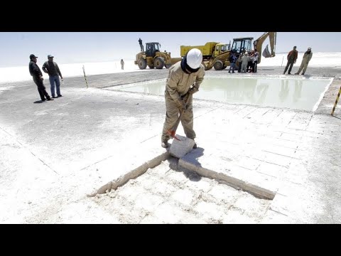 Bolivia firma millonario acuerdo con consorcio chino para la explotación de litio • FRANCE 24