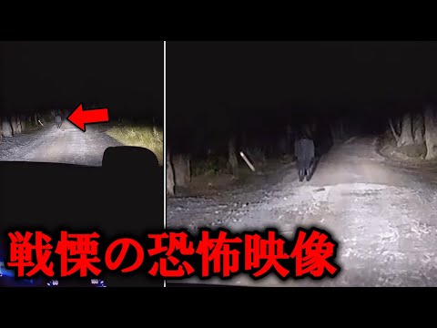 【恐怖映像】撮影者を戦慄させた不気味な瞬間 6選