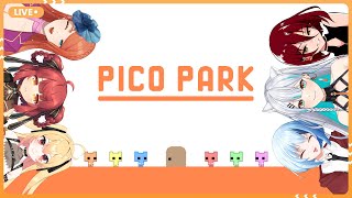 【 Pico Park】Apakah Kompak?
