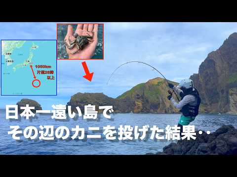 ついにきた！「究極のエサ代0円釣法」で妻が釣り上げた超大物を見て欲しい