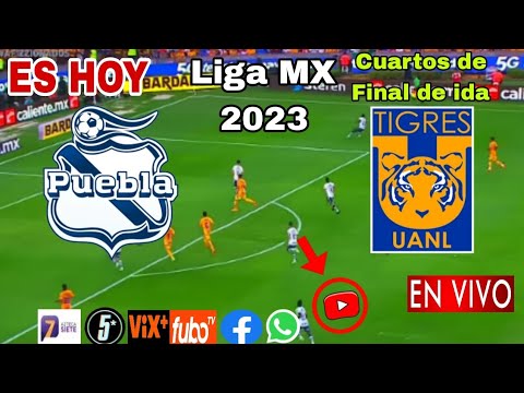 Puebla vs. Tigres en vivo, donde ver, a que hora juega Puebla vs. Tigres Liga MX 2023