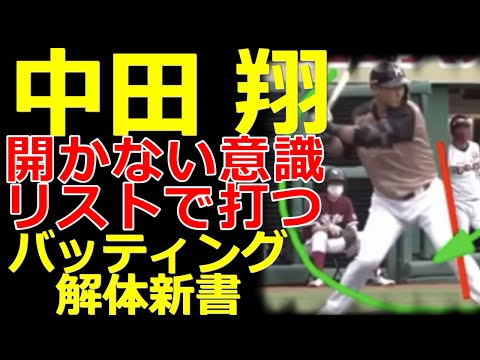 野球 勝手にコーチtv 新しい野球の楽しみ方 の最新動画 Youtubeランキング