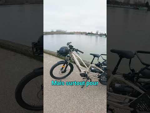 Essai Nakamura Crossover Longtail : ce vélo-cargo électrique Intersport va faire un carton !