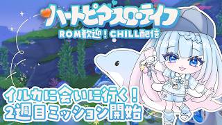 【ハートピアスローライフ】ホエールシーズン2週目🐋🫧イルカに会いに行こう！🐬Chill配信🫧　#PR　#ぶいきゃす