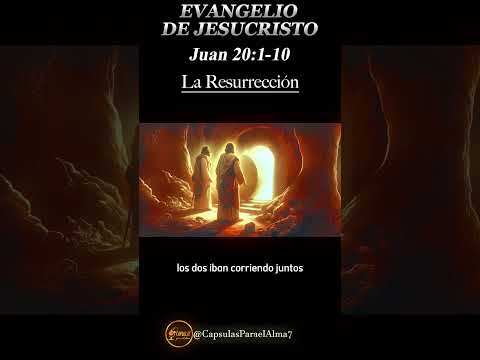 EVANGELIO DE HOY  Domingo 21 de Julio 2024 ? Reflexio?n, Mensaje y Bendicio?n del Di?a