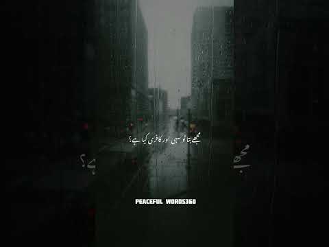 Shirk by Dr Israr Ahmed #lines