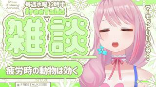 【毎週水曜12時半 | 30分雑談】猫さんの爪とぎ動画、爪はがれそうで見ててイーッってなる、なるくない？【ぼっちめし救済お昼雑談👼】