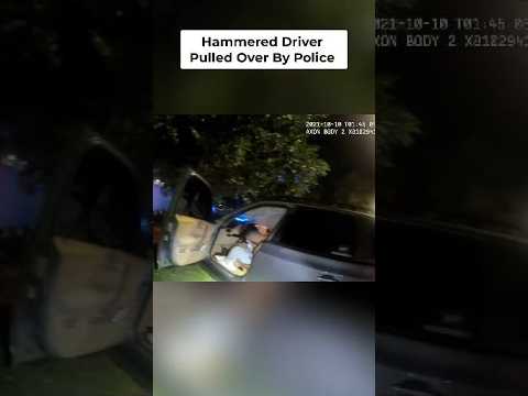Drunk Driver Crashes, Police Respond: Officer Smith #shorts