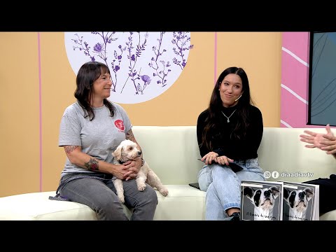 Día a Día  | Columna de mascotas con Lucía: el trabajo de la fundación “Apa - El Refugio”