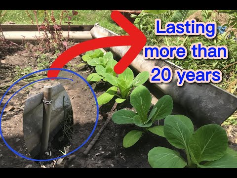 Expert Gardener Reveals 20 Year Vegetable Growing Secret Using Old Plastic Pipes