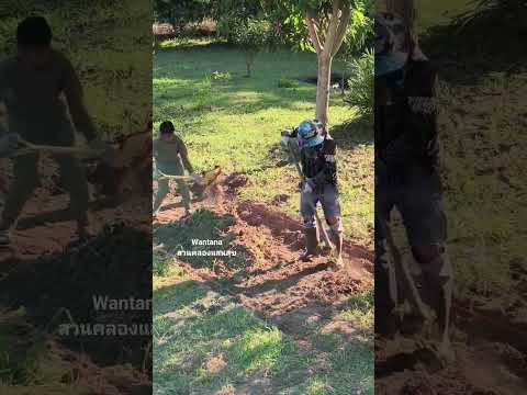 วันแรกของการขุดคลองเส้นที่ 13 #ขุดคลองไส้ไก่ #กิจกรรมวันหยุด #กิจกรรมครอบครัว #canal #nature