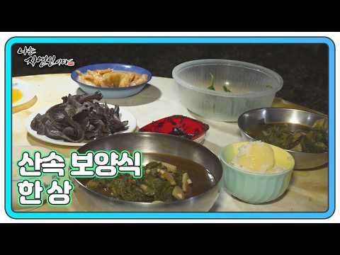 감자밥에 다슬기국, 향긋한 능이 숙회 MBN 261005 방송