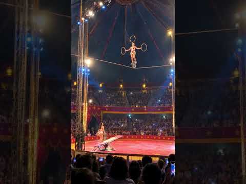 The <strong>Whole</strong> Circus Held Its Breath When She <strong>Made</strong> This Jump! 😱