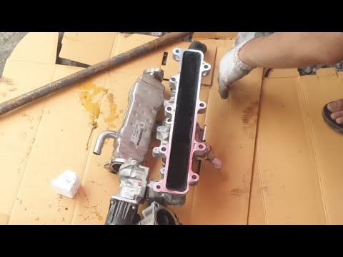 ดูสดๆ-อีจีอาร์-ตัน-ท่อไอดีตันเ ดูสดๆ-อีจีอาร์-ตัน-ท่อไอดีตันเ
