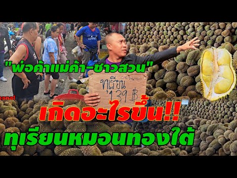 มีทุกวันแบบนี้!ทุเรียนหมอนทองร