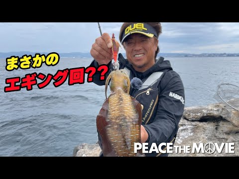 PEACE THE MOVIE #130「桜島には魚がいっぱい、時合に見えイカ乱舞???」九州地方・鹿児島県錦江湾の旅/平和卓也（1486）