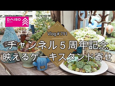 【Vlog791】【多肉植物】チャンネル５周年記念🎂DAISO購入品で映えるケーキスタンド寄せ【多肉deティーパーティー】