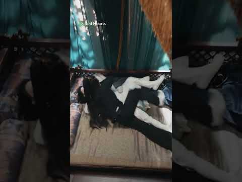 Can’t settle it with fists, so now it’s a bed match! 😂🛏️ #iQIYI #fatedhearts #chenzheyuan #liqin