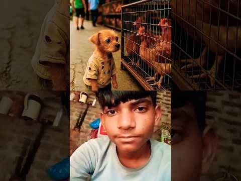 The animal and #youtube #funny#cartoon #video #trending #viralvideo#funny#cartoon#video#youtube