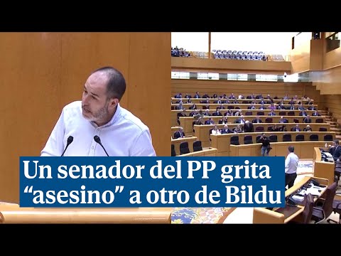 Un senador del PP grita asesino a otro de Bildu