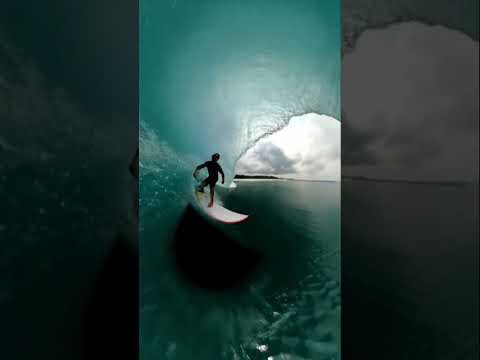 Surfing champ and artist killed by board