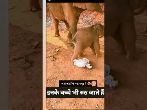 short# video #subscribe #comment #share #please #viral #video #