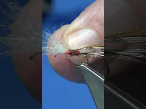 Snowshoe Wulff Pattern #shorts  #troutfishing