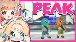 【Apex】第35回たかハルカスタム-ぷもなー-/ぷりゅね視点【Vtuber】