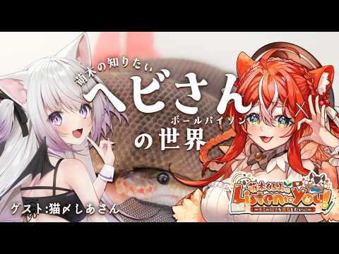 【Listen to you!】第三回　萌木の知りたい「ヘビさん(ボールパイソン)」の世界🎤🎶💖ゲスト：猫〆しあさん【#萌木くるみ /#新人vtuber 】