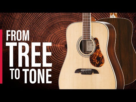 From Tree to Tone: A Deep Dive Into Tonewoods (Part 1)