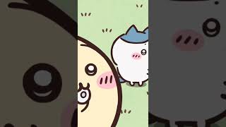 わいてわいて【ちいかわ】