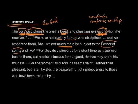 Hebrews 12:6–11 // Suffering Conforms Us to Christ