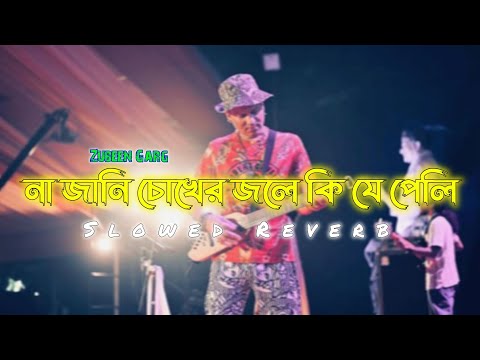 Bin Tere tere Bin Lofi Song IIZubeenGarg II Na jani cokher jole II sad songII Lofi Boy Sonu