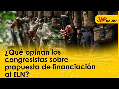 Debate: ¿Qué opinan los congresistas sobre propuesta de financiación al ELN?