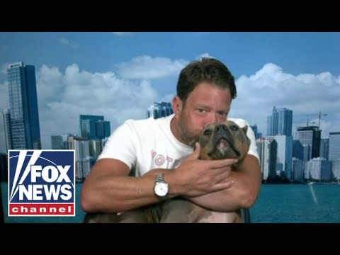 Dave Portnoy's rescue dog Miss Peaches goes viral: 'The sweetest angel'