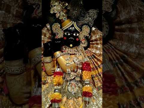 जय हो श्री बांकेबिहारी लाल की 🙏❤️🙏❤️✨️#bankebihari#treanding#shorts #virdavan