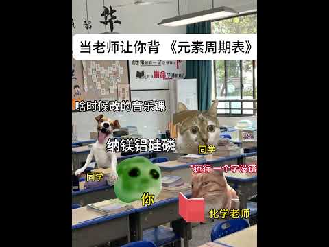 面白さ満点！元素周期表を猫のミームとともに解説 サムネイル