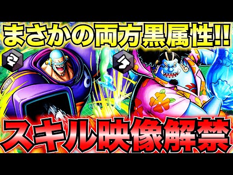 【スキル映像解禁】新フェス限フランキー・ジンベイ登場‼️正直これは強いのか⁉️✨【バウンティラッシュ】