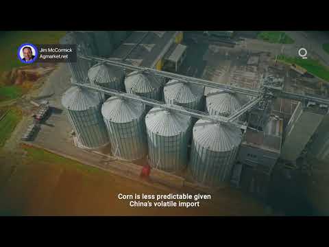 Data, Not Deals, Will Drive US-China Grain Markets | Presented by CME Group