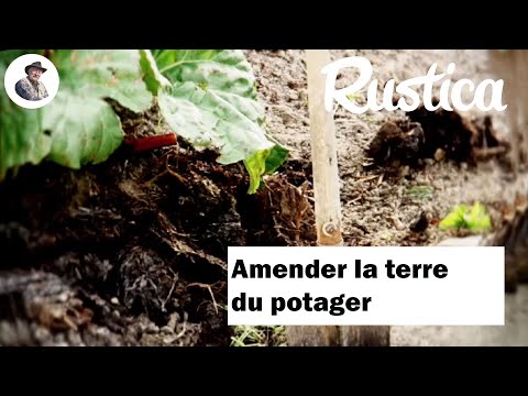 Amender la terre du potager