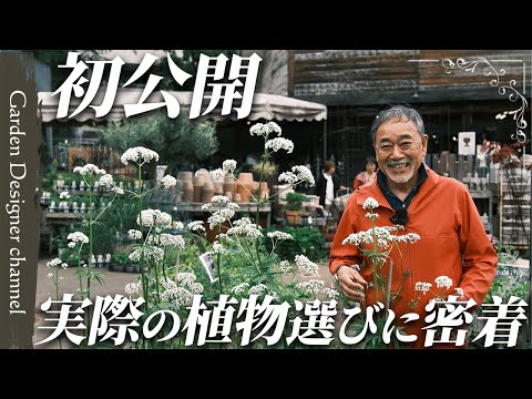 【センス抜群!】普段は見せない植物選びの裏側!自分のお庭に合った植物選びのコツを伝授!【外構】【Professional Plant Selection】