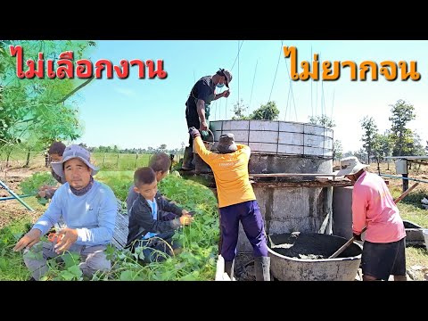 โครงการชั่งหัวมัน.เตรียมเครือ