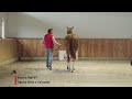 Show jumping horse ROCK 'N ROLL VT